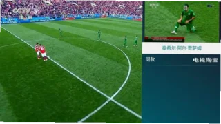 庄修敏